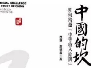 中国经济真问题—”中国的坎”研讨会