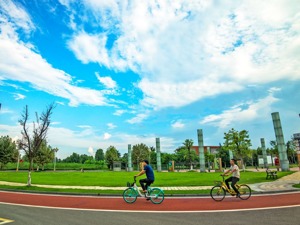 发现生活美学 成都青羊推进建设公园城区新实践