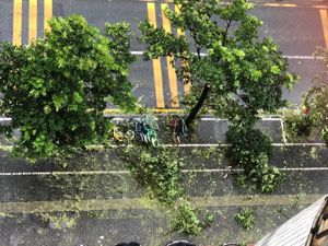 台风“山竹”致广州白云机场航班大面积延误 俄罗斯航空一航班已起飞