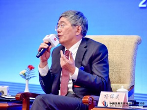 杨伟民：产权制度改革不完全等同于所有制改革