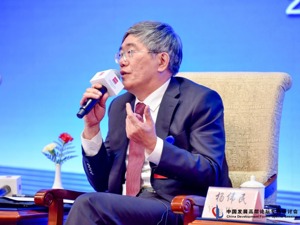 地方隐性债务和国企负债如何监管？杨伟民：国务院已下发几个文件