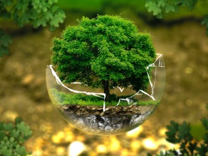 “山竹”过境城市绿化受创 当地园林企业或得先机 