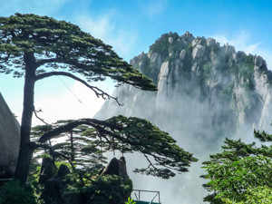 门票降价黄山旅游业绩或“失血” 但一条高铁开通有望“输血”