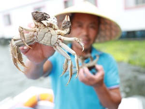 中秋抢蟹战 电商物流驻扎原产地展开物流竞技
