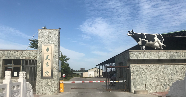 视频丨原奶行业陷入寒冬 华夏畜牧三河牧场经营14年后为何关停？