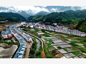 《乡村振兴战略规划（2018~2022年）》：提高土地出让收益用于农业农村比例  盘活农村存量建设用地