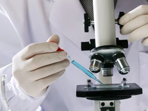 这个重要指标亮了！去年，我国研发经费投入强度创下新高