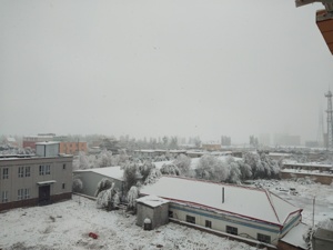 调查下·西进新疆│外面的进不来  里面的正难熬 第一场雪后霍尔果斯影视公司正渡“生死劫”
