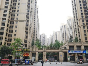 拍卖前夜 这个成都红极一时的楼盘为何被紧急撤回？