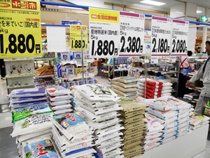 日本央行按兵不动 下调今年经济预期