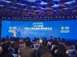 2018中国科技小微金融发展高峰论坛在成都举行