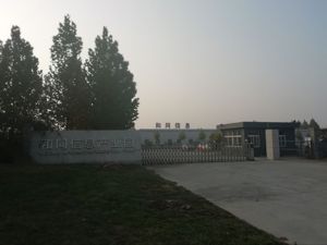 500强、独角兽、行业龙头都不是  民营企业座谈会发言的为什么有他？