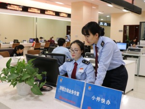 国地税合并首个“大征期” 成都网上办税超八成