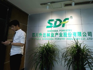 控股股东为清偿违规占用资金引战投 ST升达控制权或变更 
