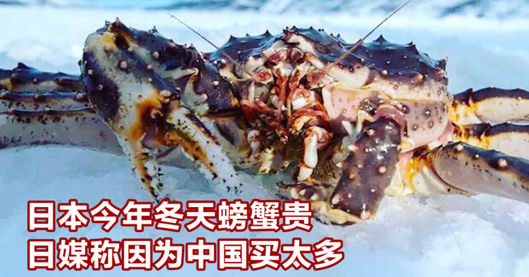 视频丨日本今年冬天螃蟹贵 日媒称因为中国买太多