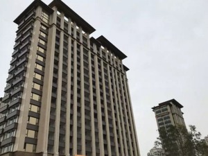 “豪宅四少”一同亮相，房子好卖，但开发商们高兴不起来