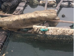 每经记者直击泉港碳九泄漏区：比“味道”更让村民担心的是“未知”