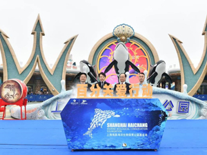 上海海昌海洋公园正式开园 “海洋生物保育公益基金会”同期设立