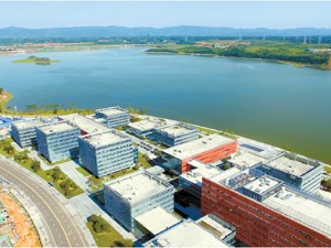新希望集团董事长刘永好：民营企业的阳光、空气、土壤都有了