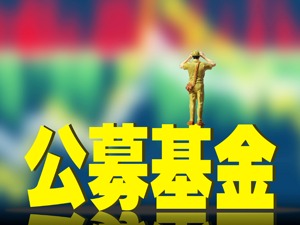 冷对题材股 公募等机构慎言风格切换