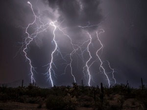 美科技股龙头纷纷熄火 QDII基金年内业绩前功尽弃