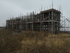 为搞旅游砍伐数万株水源涵养林  四平市不顾环保督察要求顶风上项目