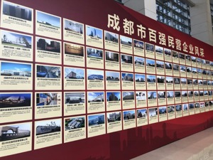 成都市召开民营经济健康发展大会 表彰民营企业、民营企业家