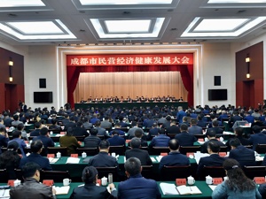 支持民营经济发展 成都六个部门都说了啥？