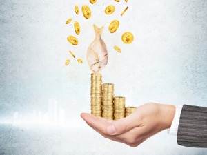 港资看上这只创业板股票 股价已经逼近年内新高