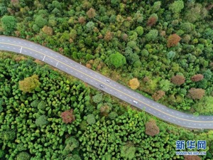 向着新的峰巅登攀——从井冈山精神看中国改革开放40年