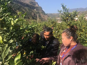乡村振兴的雅安样本：积极发挥代表作用 推动更多人过上美好生活