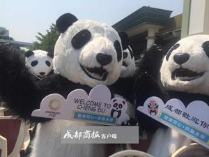 成都的熊猫人萌化香港市民 熊猫bus城市巡游活动21日启动
