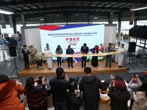 两大国家商品馆集中开馆 成都青白江现代服务业优势凸显