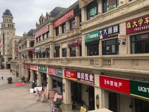 这里本想成为深圳后花园，一轮楼市“爆炒”后，却沦为“睡城”