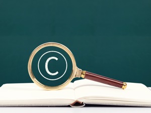 38部委联合发布备忘录 对知识产权严重失信主体开展联合惩戒