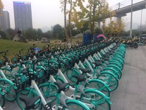 重庆市大学城ofo小黄车几近消失  城管人员：7月以来未见到运维人员