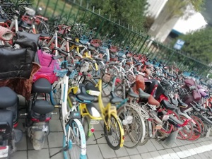 ofo提前搬离济南办公地寻新址 人员减少市场份额滑落