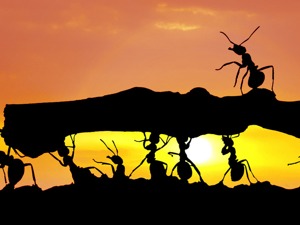 扛住美股大跌 A股挺过一关——道达投资手记
