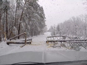 美国东南部遭遇严重暴风雪：1700架航班取消，近50万人遭遇大停电