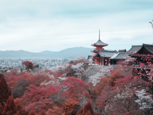 德国日本分别下调或准备下调今明两年经济增长预期
