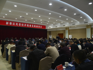 迎接“大港区”机遇 成都市新都区民营经济推动“十百千”工程