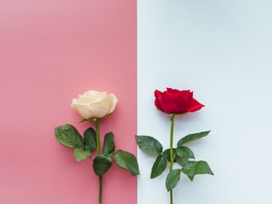 夜读｜再好的感情，都会死于理所当然
