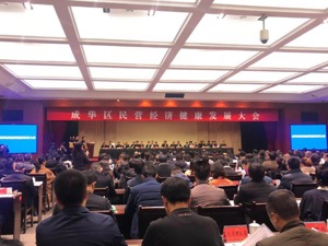 成都成华拟出台民营经济“33条”  打造新经济集聚高地
