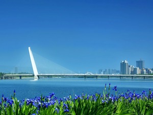 禁令解除，西安别墅市场何去何从？