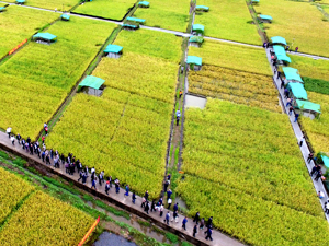 土地管理法修正案草案：非农建设用地将不再“必须国有”、探索宅基地自愿有偿退出机制