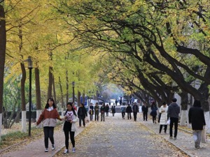 “拿到的不是题，竟然是答案”，山东师大考研闹出大乌龙！