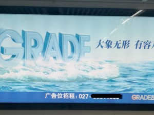 天山生物“踩雷”大象广告 武汉地铁项目入不敷出将提前终止