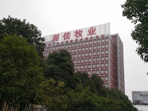湘佳牧业的坎坷IPO路：3次中止1次撤销，原因个个“非典型”