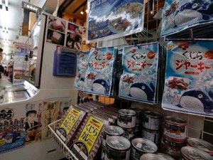 时隔30年，日本宣布恢复商业捕鲸！真是因为日本人爱吃鲸鱼肉？