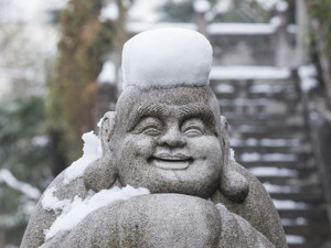 2018年十大“佛系”股票出炉！高股息股云集，最淡定股波动不到20%